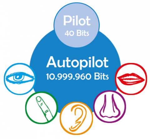 Neuromarketing - Pilot  - Autopilot
